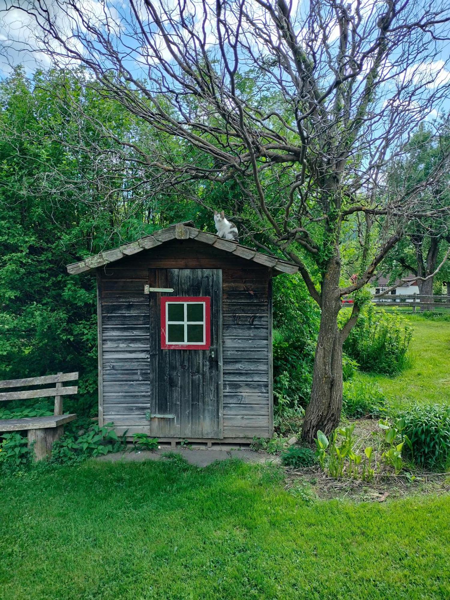 Koestlhof, Familie Hassler Bed & Breakfast Oberdrauburg Exterior photo